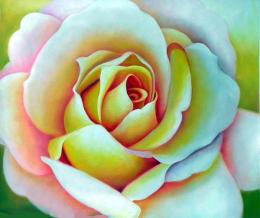 tableau fleur rose blanche