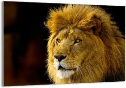 tableau imprimé sur verre lion
