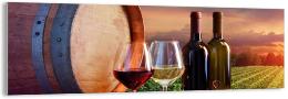 tableau panoramique sur verre vignes et vignobles