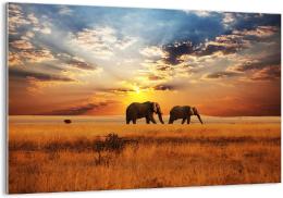 tableau sur verre chevaux éléphants dans la savane