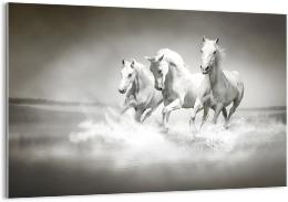 tableau sur verre chevaux blancs au galop